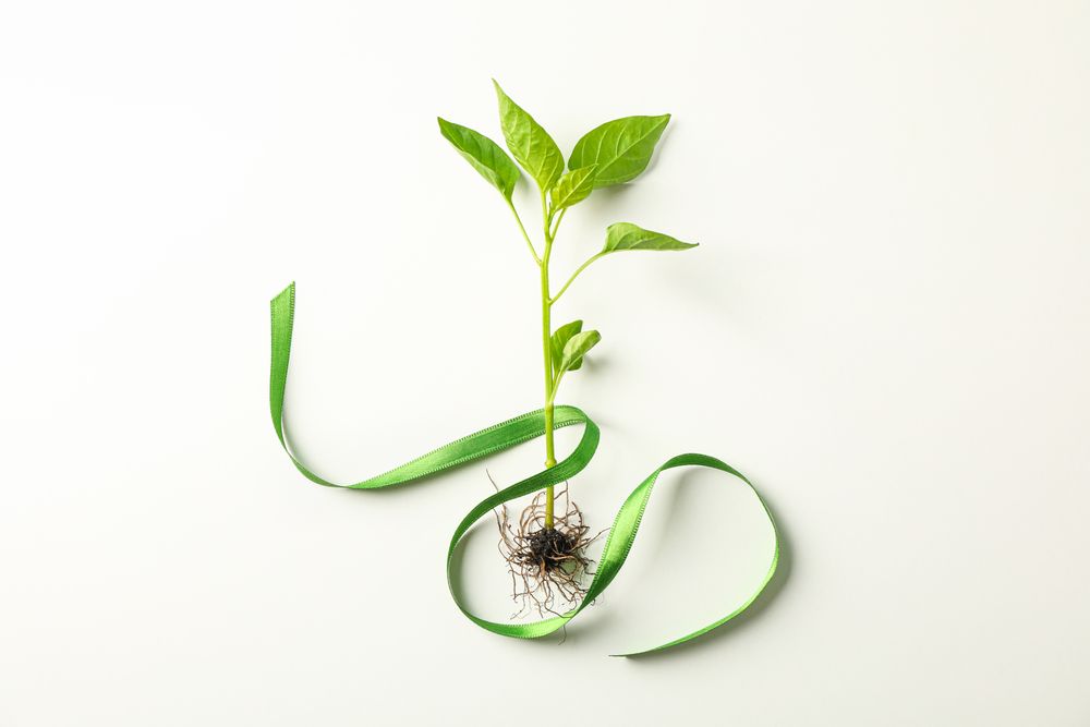 Green sprout with tape on light background, space for text. Environmental protection. Agriculture