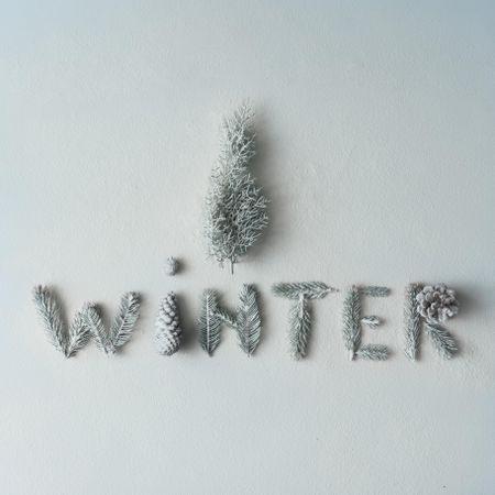 "WINTER" made of tree branches and pine cones on light background