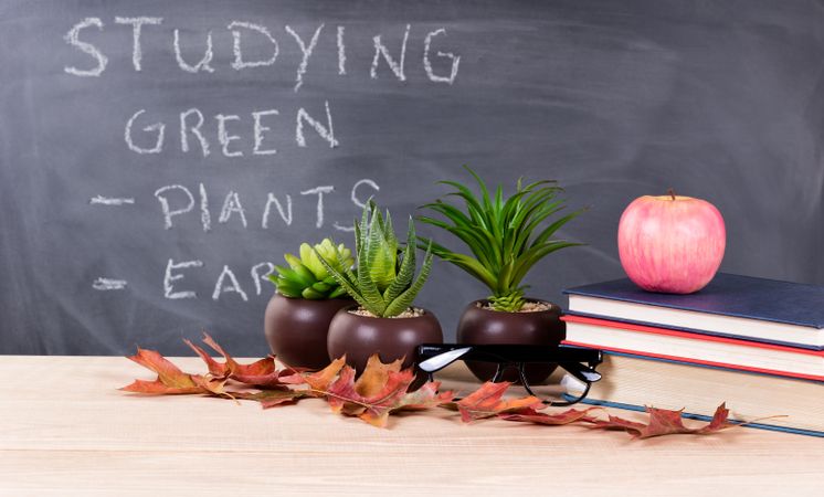 Studying green topics with nature objects in classroom environment