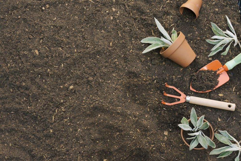 Arranged tools on gardening soil