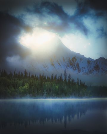 Green trees near lake and mountain during night time