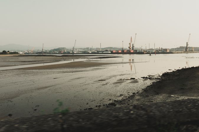 Industrial landscape with sea bay and port cranes