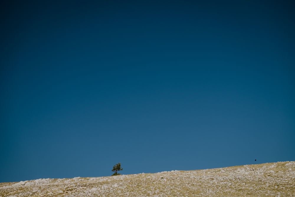 Landscape with hill and moon in blue sky