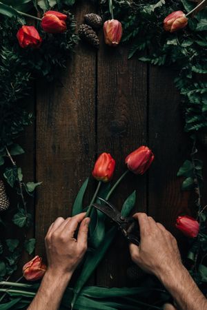 Border of tulips on wooden background with hands