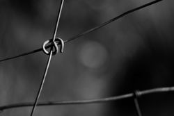 Tense barbed wire