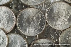 Many American Silver Dollars 56wpl4