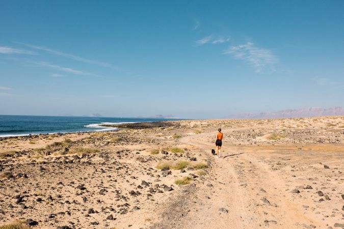 Back of woman walking with dog on sandy road next to ocean