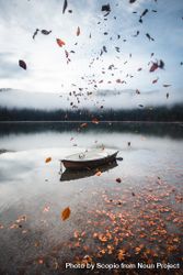 Boat and dried leaves falling on a lake 4Z3P3b