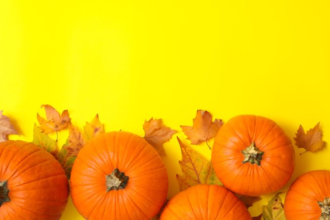 Pumpkins and autumn leaves on yellow background