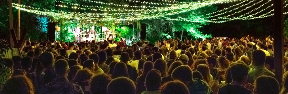 People listening concert on a summer night music festival in nature