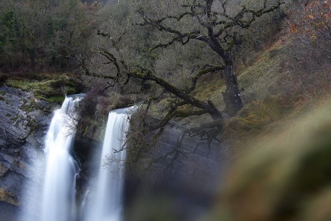 Autumn tree and waterfall