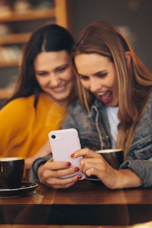 Female friends meeting at coffee shop and looking at mobile phone