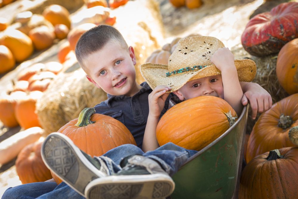 Boys Playing in Wheelbarrow at the Pumpkin Patch