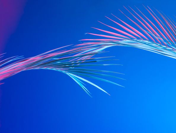 Tropical leaves in bold pink and blue gradient holographic neon colors on bright blue background