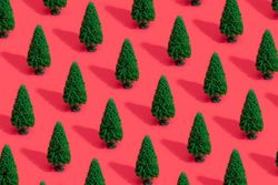 Green Christmas trees on bright salmon red background