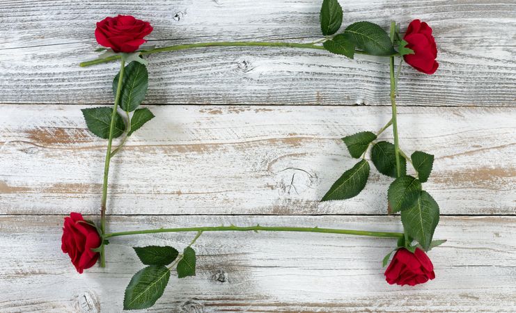 Square outline made of red roses on rustic wood