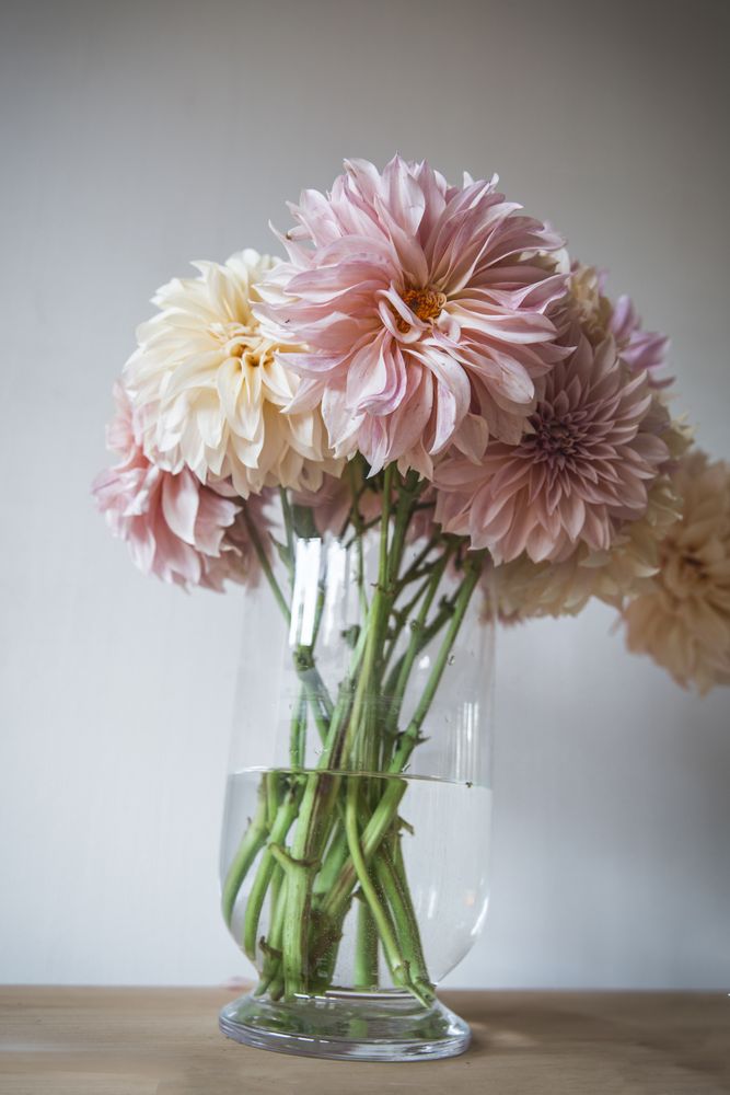 Bunche of flowers in vase on table