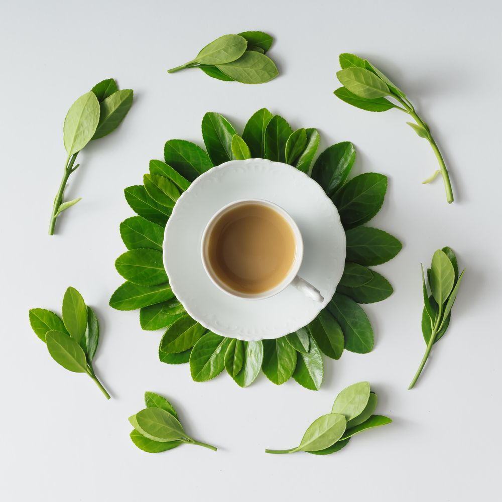Morning coffee and green leaves in flower shape on light background