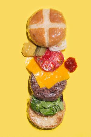 Ingredients of a cheese burger wrapped in plastic