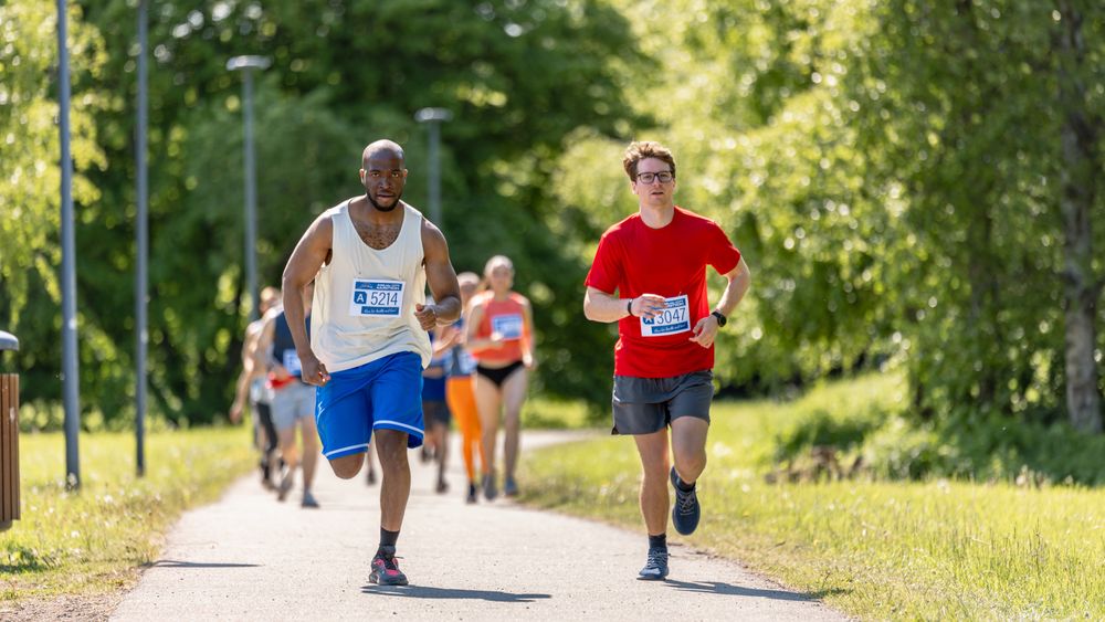 Wide Shot of Diverse Marathon Participants Competing in a Race for the Finish Line: Group of People Running Through Park Health Trail and Participating in a Marathon with Dedication