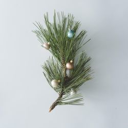 Pine tree branch with Christmas bauble decorations