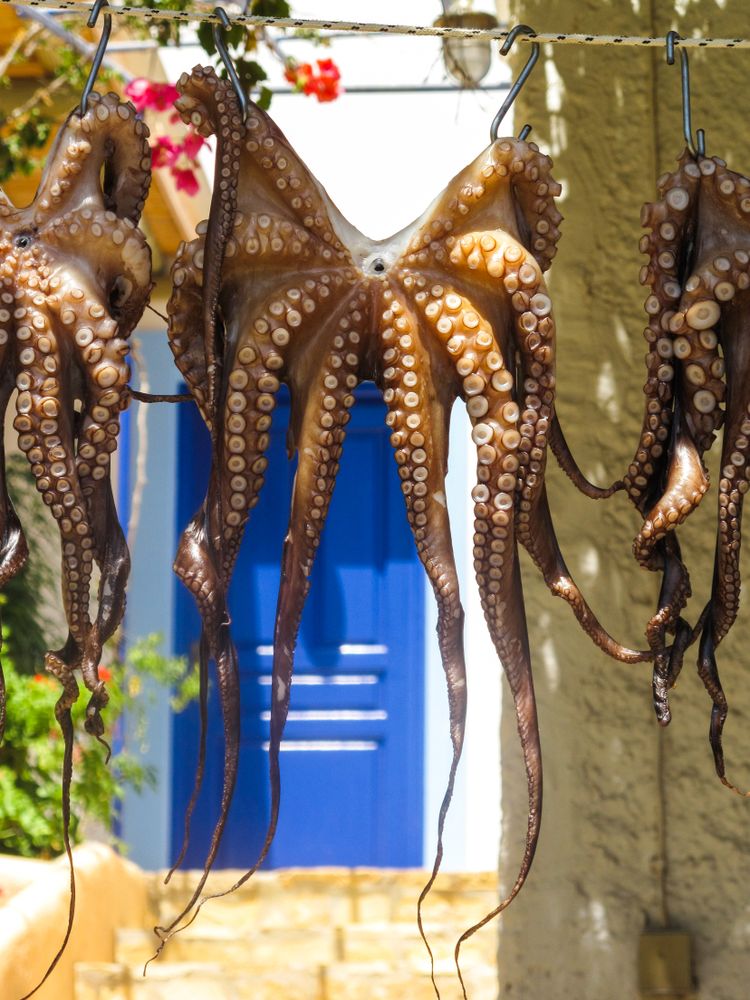 Patmian blue door behind drying Octopi