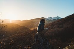 Female traveler sitting on mountain slope at sunset