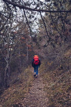 Hiker with backpack walking along pathway in autumn forest