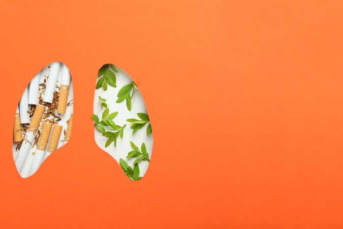 Lung shape cut out of orange paper with cigarettes and foliage with copy space