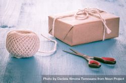 Present wrapped in plain brown paper and tied with twine 0Vm3jb