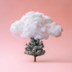 Snowy Christmas tree with cloud on pink background