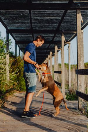 Happy adult man playing with dog at countryside