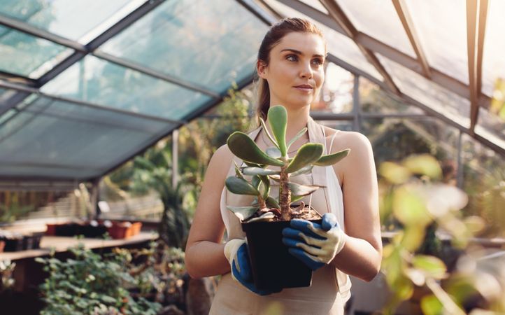 Beautiful young woman with a cactus plant in greenhouse