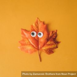 Halloween maple leaf with googly eyes and orange background 4MlJx5