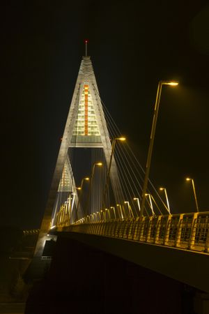 Pedestrian bridge by night in Budapest, vertical