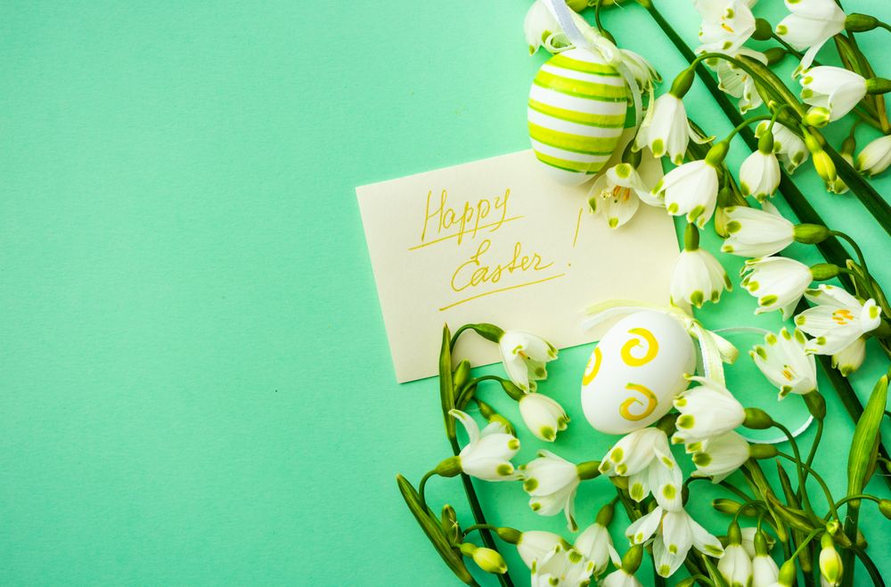 Snowdrops on green background with decorative Easter eggs and card