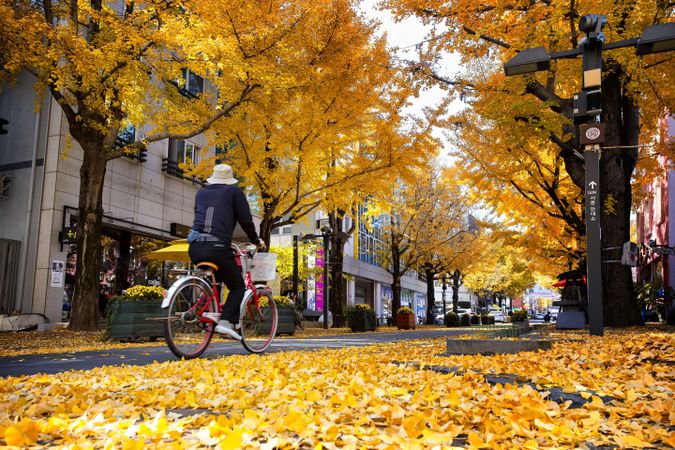 Person riding a bike on a sidewalk covered with yellow tree leaves