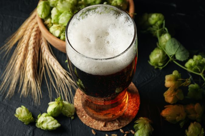 Beer, wheat and hop on dark background