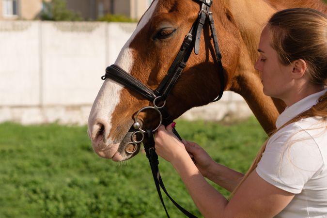 Woman attaching bridle to horse