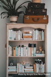 Suitcases and indoor plant on bookshelves 5pyke4