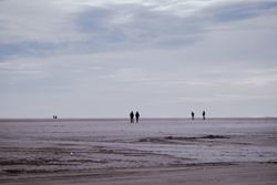Wide sandy beach with silhouettes of people