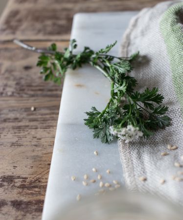 Green stem with oat grains