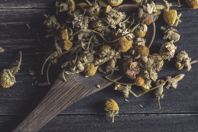 Spoonful of dried chamomile on wooden table