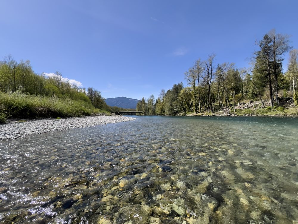 Skagit river flowing towards bridge in Washington state cascade mountains during spring season