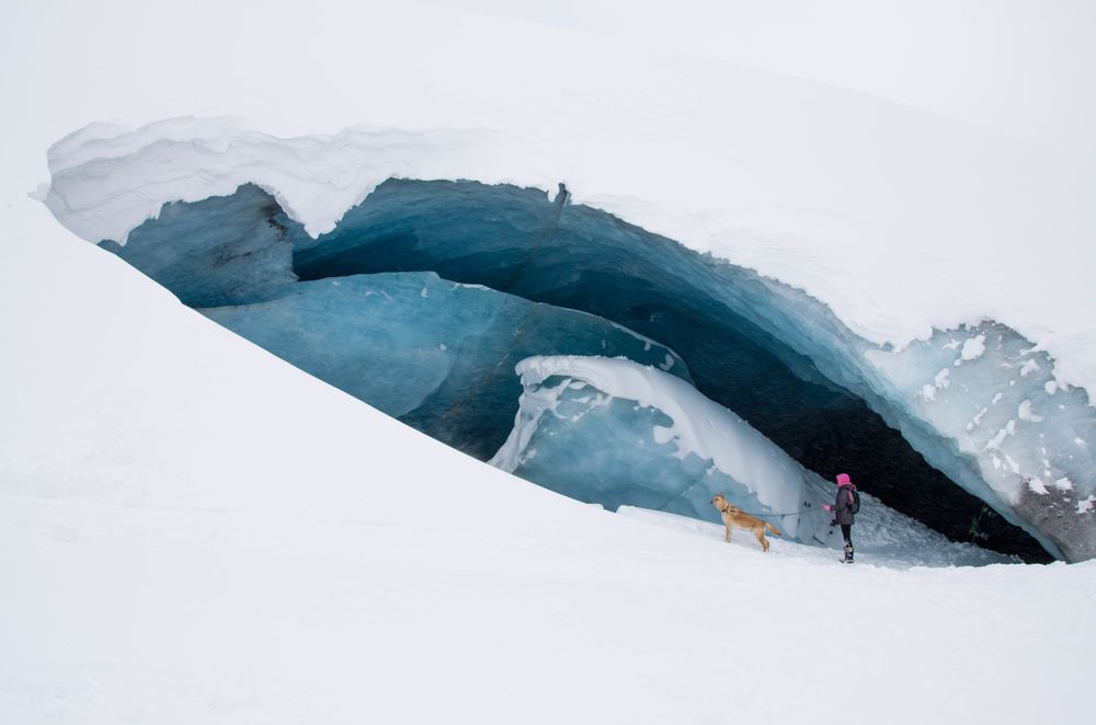Person walking a dog on snow