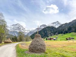 Hay stacks, Lauenen, Switzerland