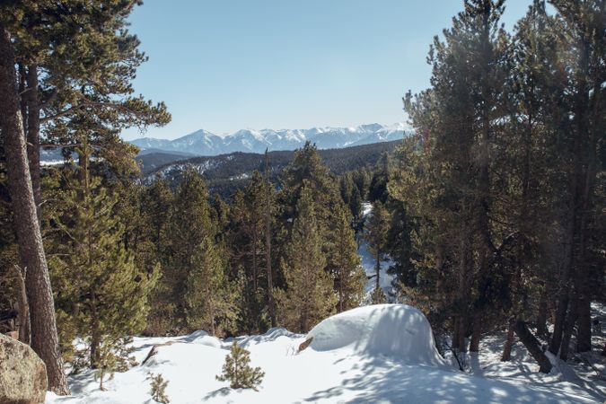 Picturesque view of peaks of mountains in snow and forest
