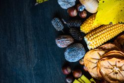 Top view of seasonal autumn table with nuts, berries, vegetable and fruits