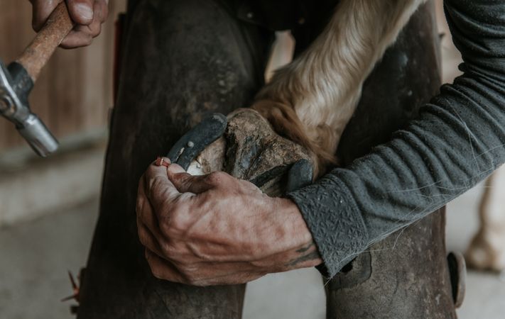 Crop farrier cleaning horse hoof