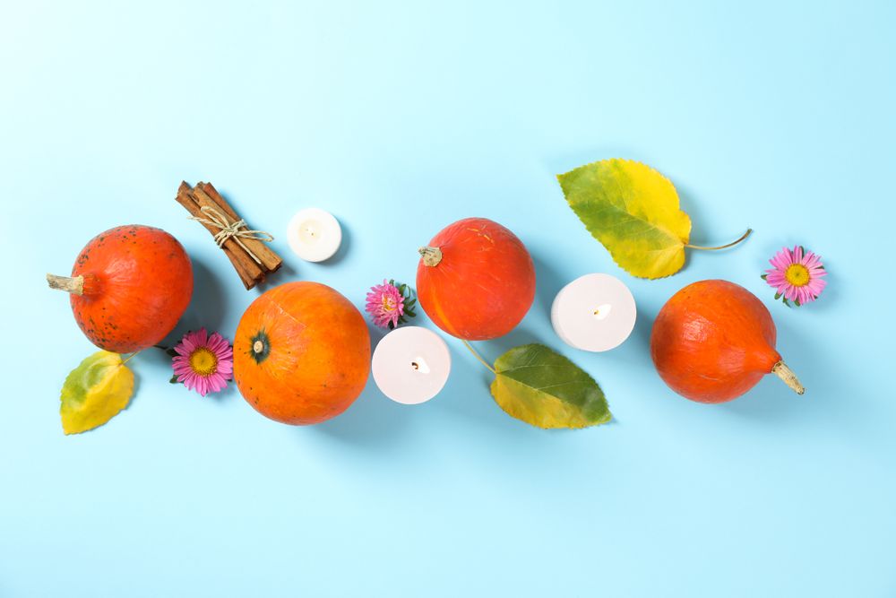 Composition with pumpkins, leaves and flowers on blue background, copy space